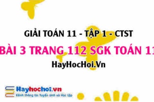 Giải bài 3 trang 112 Toán 11 tập 1 SGK Chân trời sáng tạo
